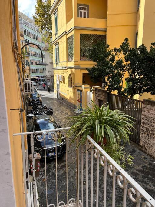 La Di Angela Napels